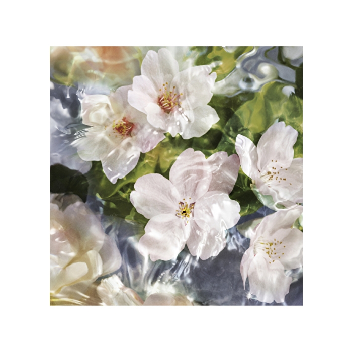 ParfümTR | Orjinal Parfüm Mağazası